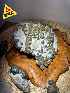 灵璧石珍珠金蟾