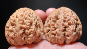 平谷暴雪狮子头核桃一对儿极品正宗平谷暴雪狮子头!轻微微调无影