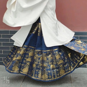 兰若庭 汉服 太平有象 明制 蓝色马面裙,m码,买回来
