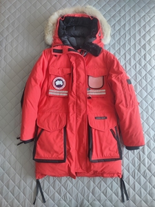 雪咒snow加拿大鹅