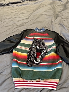 00tb334765925淘宝404家slp风格霸王龙夹克彩虹恐龙珠管