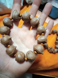 橄榄核怪核异形核