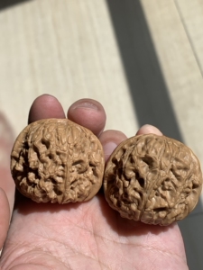 文玩核桃,精品门墩,门墩儿核桃,精配对,轻度打底,边:44.