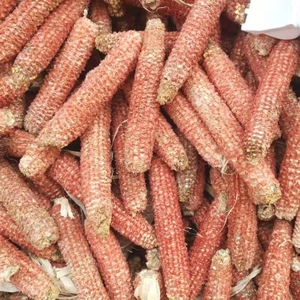 制作仓鼠磨牙棒