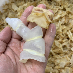 缅甸红鱼肚.500克特价98元