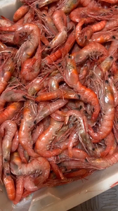 3斤装5斤装舟山野生红虾鲜活海虾新鲜海捕大虾红壳虾约35-4