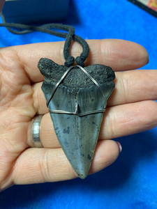 鲨鱼牙化石吊坠(银丝包裹)