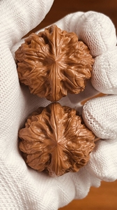 【文玩核桃回血】鬼龙,又命六星元宝,37边极品对,深清打底