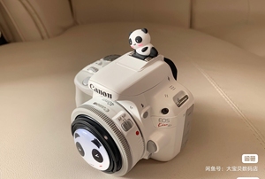 佳能100d 40小饼干镜头 套机 单反相机超多博主安利的一