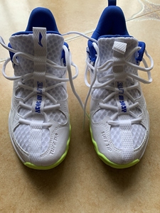 李宁羽毛球鞋  战戟三lite  39.5码  买来只穿了一