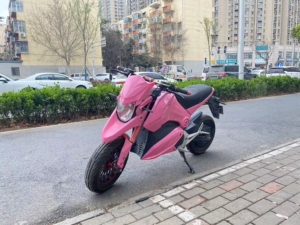 00tb215348843淘宝小猴子电摩 外观车 三拉二1人付款2400.