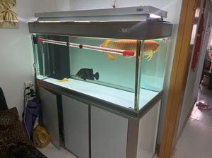 彩蝶鱼缸超白c款