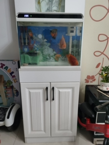 森森鱼缸,长宽高48*30*115.鱼缸带柜处理,原配过滤.
