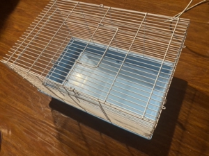 白底47基仓鼠笼,浉河区火车站附近自提,爽快送水壶磨牙棒小零