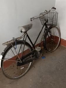 凤凰自行车老式斜梁