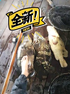 潜水柚木鱼枪射鱼器全新宝贝潜水鱼枪