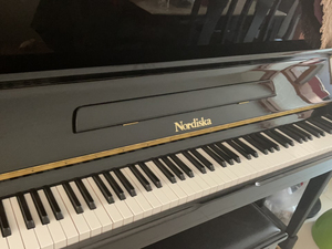 诺蒂斯卡钢琴,世界著名品牌,国家音乐学院指定用琴,九成新,原