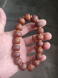 实心紫金鼠.原皮直切,姜黄皮,18颗籽,尺寸16×11.