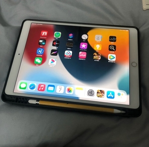 ipad2018款128g第六代平板 最低价出售wifi插卡