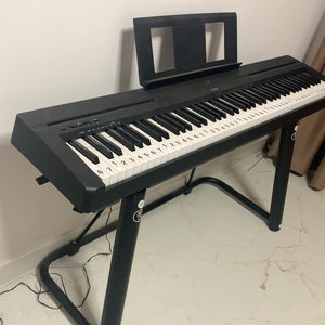 闲置没学会,雅马哈电子琴p48b带u架电钢琴