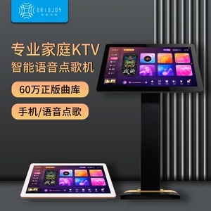 全新雷石小米联合开发最新款,和音元视一体机,全国无区域限制