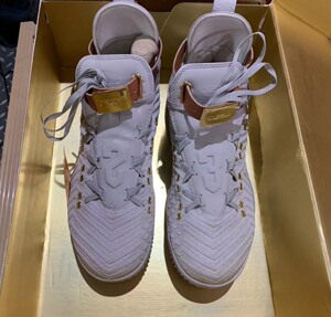 詹姆斯16 hfr 浮雕 狮子头九成新 仅穿过三四次,鞋带扣