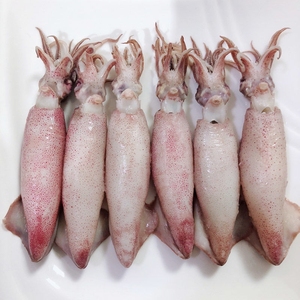 2斤大海兔海兔子 带籽 4斤大海兔海兔满籽大小墨鱼仔海鲜水产