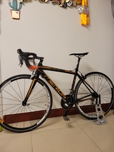 美利达斯特拉905