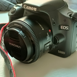 佳能500d 全新永诺50定1.8光圈