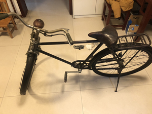 东德钻石自行车