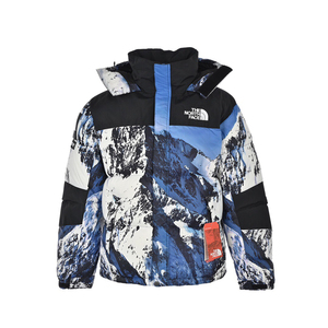 the north face/北面 17fw 雪山羽绒服
