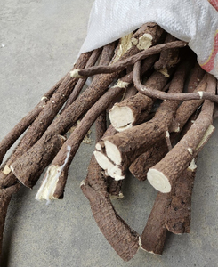 【梁外甘草】内蒙古鄂尔多斯杭锦旗梁外甘草,牧场自然生长,牧民