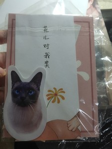 格林肉话 周边 黑猫白袜子