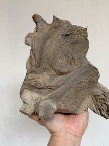 tb242816950淘宝崖柏陈化黑骨料圆珠横纹2.