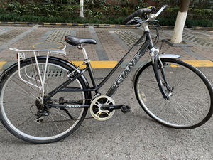 旅行自行车,捷安特旅行自行车,捷安特帝柏3300,24速,2