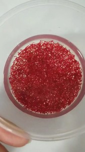 【九河冰冻红虫血】九河冰冻红虫血品牌,价格 - 阿里巴巴