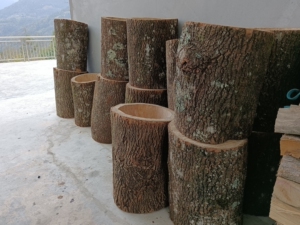 圆木桶蜂箱 空心木桶 诱蜂圆桶 空心桶 原木蜂箱 泡桐树蜂箱