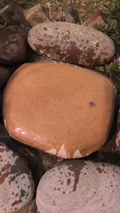 一块超大号粉色方形鹅卵石。乌龟晒台。压菜石。一面非常平整。鱼
