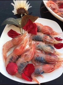 东海野生蝴蝶虾新鲜蓑衣虾日料刺身鲜活船冻深海太子虾冷冻水产品