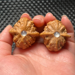 瓷娃娃官印狮子头小手捻,官印狮子头小手捻,肚子圆润饱满,荔枝