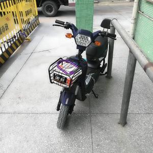 雷致电瓶车电动