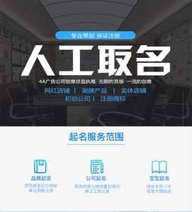 专业人工起名公司品牌商标工作室英文起名字
