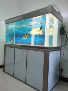 000人付款淘宝一手鱼缸,彩蝶龙潭新兵c款,升级四面超白,空缸带水泵