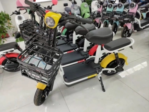 全新森地新国标电动车新款电瓶车男女通用电动自行车48v代步车
