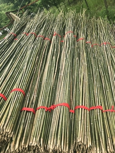 竹竿批发细竹竿