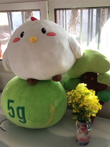 000人付款淘宝蚂蚁森林能量球抱枕 二次元毛绒玩偶公仔可爱床上靠枕