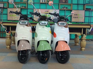 赛鸽电动车时尚款精灵小巧.新国标电动自行车可上白牌.