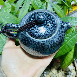 连宏达百花壶建阳建盏鹧鸪斑壶 建阳建盏鹧鸪斑壶