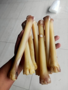 鹿骨棒.梅花鹿小腿骨.马臀皮护理.打磨棒