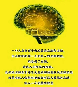 HSP 蒙眼 识字 间脑开发松果体开发右脑开发全脑开发